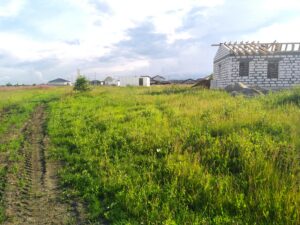 Сосновский р-н, Красное Поле п, 74:19:0802003:1448