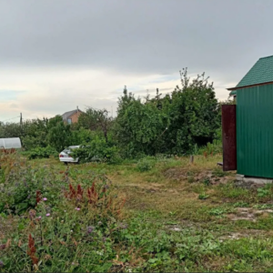 Красное поле :248