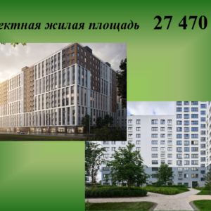 Рощино п 74:19:0601002:1462