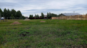 Ключи д 74:19:0801001:213