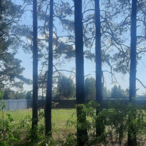 Терема п 74:19:1201001:205