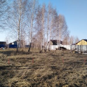 Сосновский р-н, Ключи д, 74:19:0801001:174