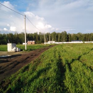 Ключи д 74:19:0801002:1446