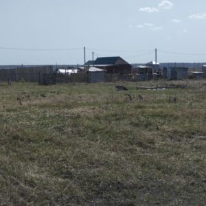 Сосновский р-н, Ключи д, 74:19:0801001:1885