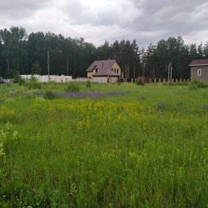 Сосновский р-н, Ключи д, 74:19:0801002:626