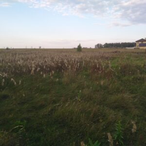 Ключи д 74:19:0801002:840