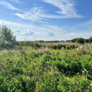 Прудный п 74:19:0803002:2353