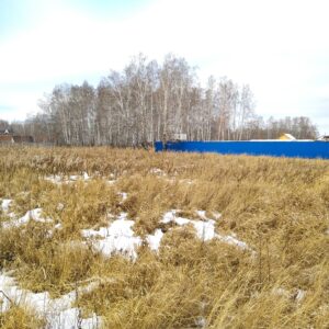 Сосновский р-н, Ключи д, 74:19:0801001:1011